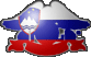 Slovenske strani