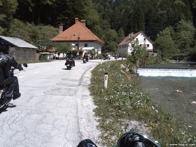IMG01662-20100605-1119.jpg