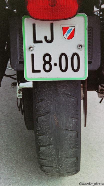 ŽICA 19.jpg