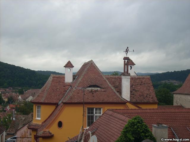 DSCN4869.jpg
