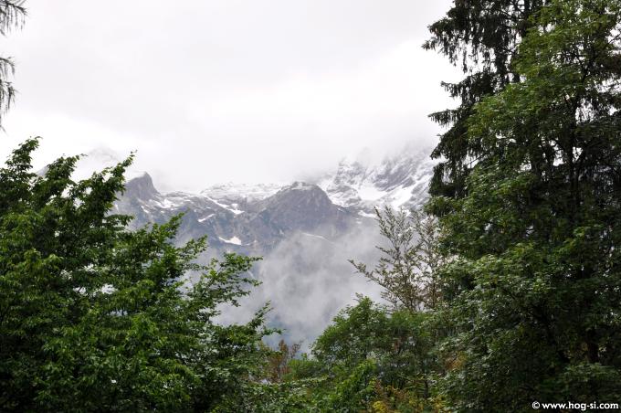 2009DPiknik0422.jpg