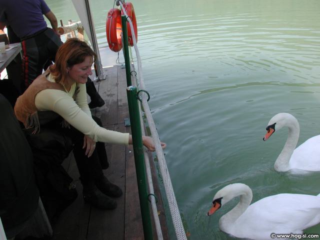 DSCN0443.jpg