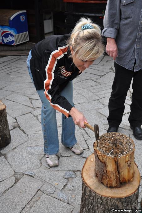 2009DPiknik0623.jpg