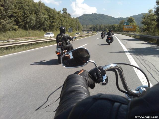 IMG01605-20100605-1039.jpg