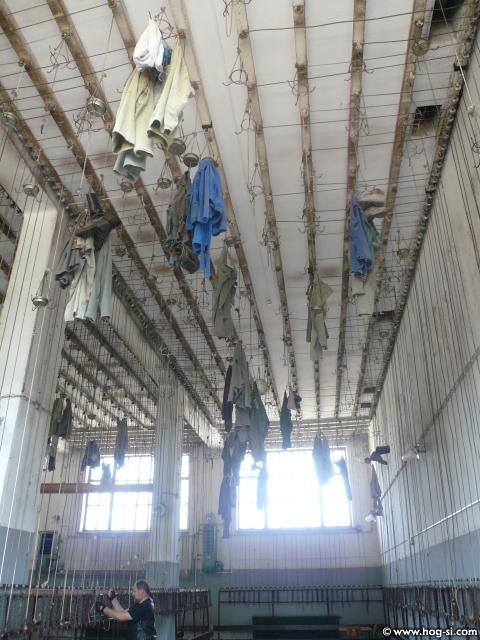 P1010005.jpg