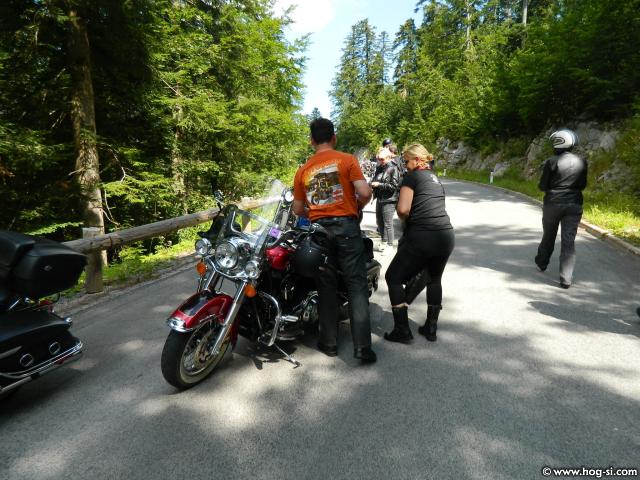 HD GOLVVING IZLET AUGUST 2014 048.jpg