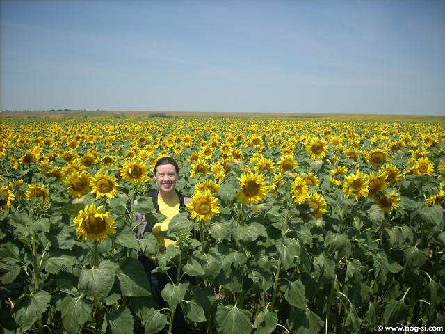 DSCN4826.jpg