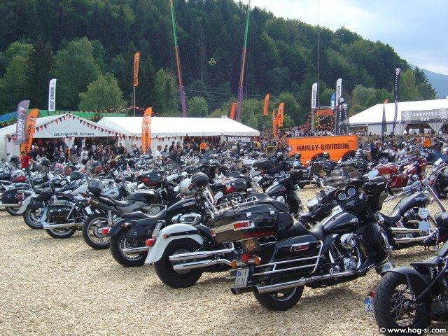 DSC07138.jpg