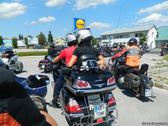 HD GOLVVING IZLET AUGUST 2014 088.jpg