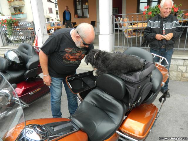 DSCN8549.jpg