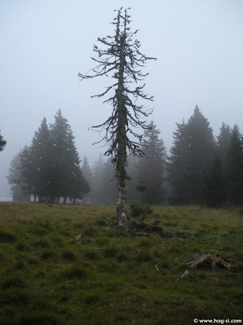 DSCN3778.jpg