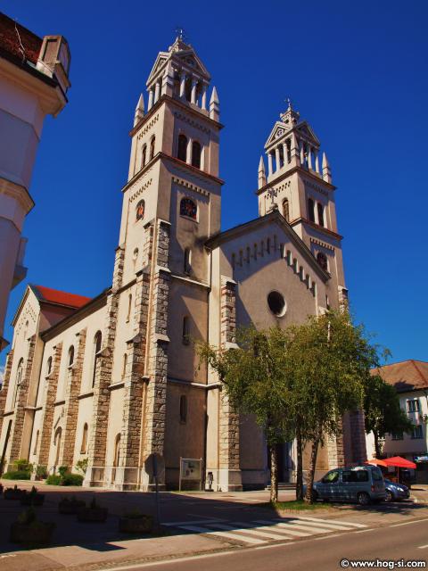 P8099643.jpg