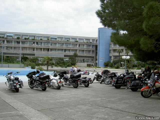 KONJI 11.jpg