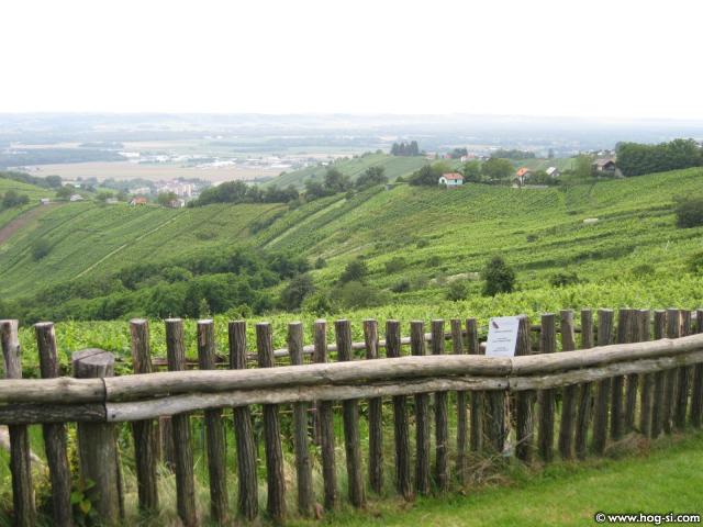 izleti prekmurje08,kras09,prekmurje09 328.jpg