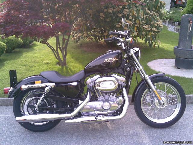 Sportster 883 low
