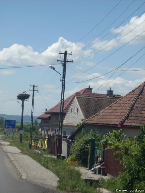 DSCN4978.jpg