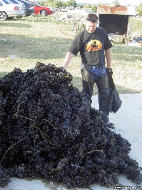 PICT0046.jpg