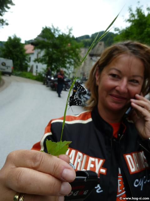 P1110354.jpg