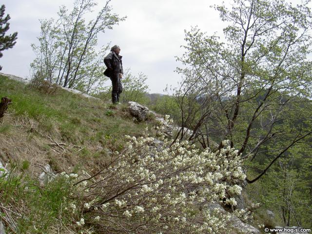 OLAJŠANJE 011.jpg