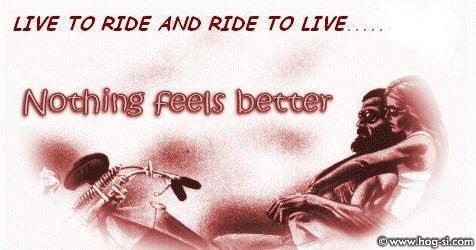 bike.jpg