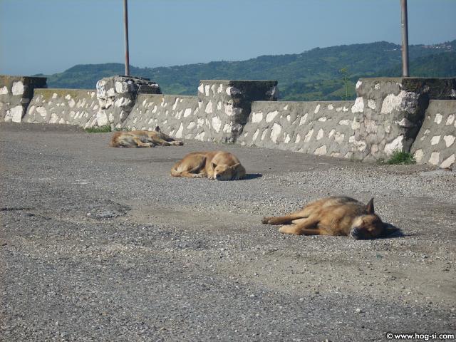 DSCN4925.jpg