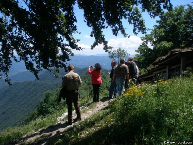P6130448.jpg