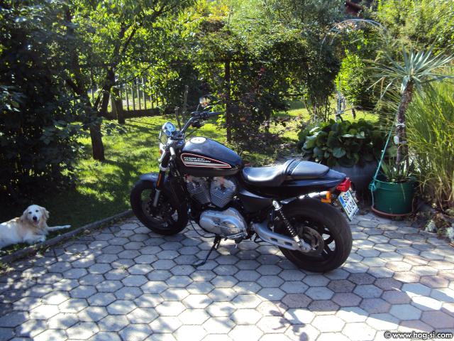 DSC00740.jpg