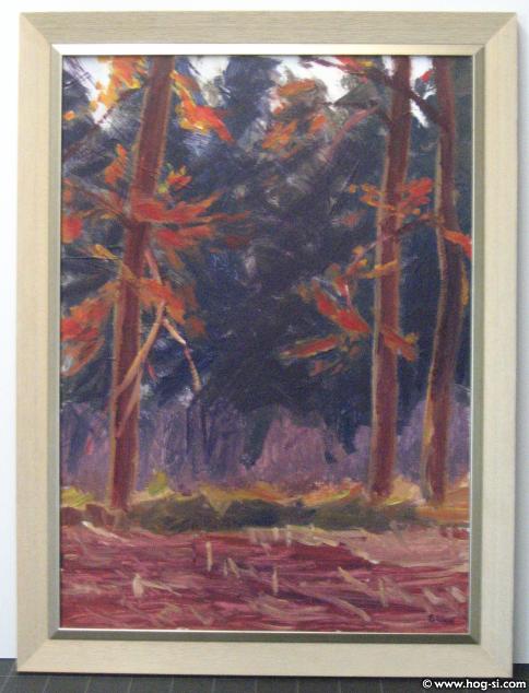 Edge of a Forest