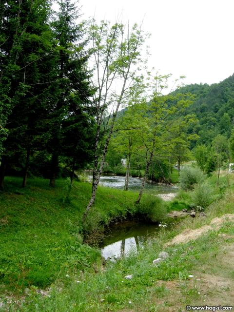 Dolen06 10.jpg