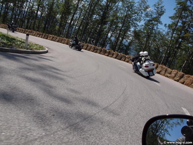 P8099658.jpg