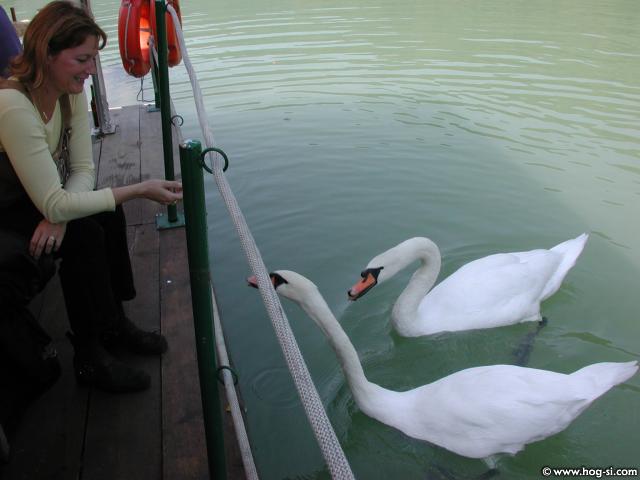DSCN0444.jpg