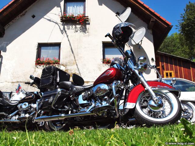 P8099678.jpg