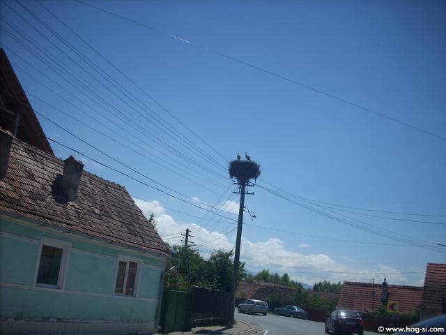 DSCN4976.jpg