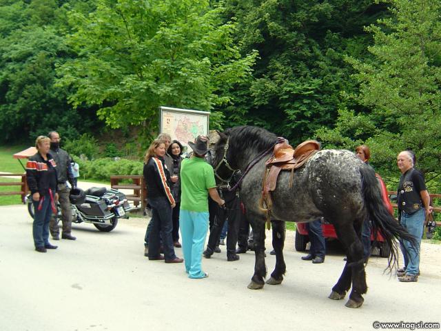 DSC08292.jpg