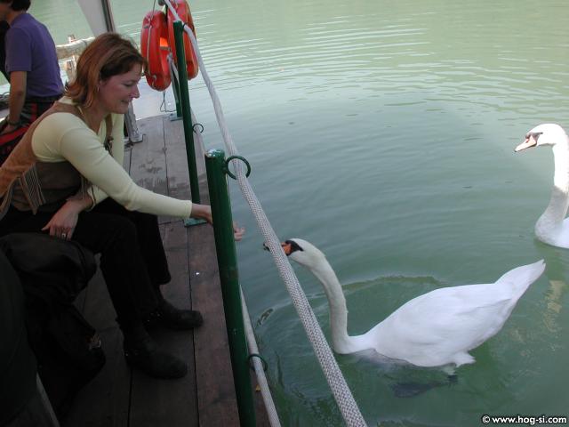 DSCN0445.jpg