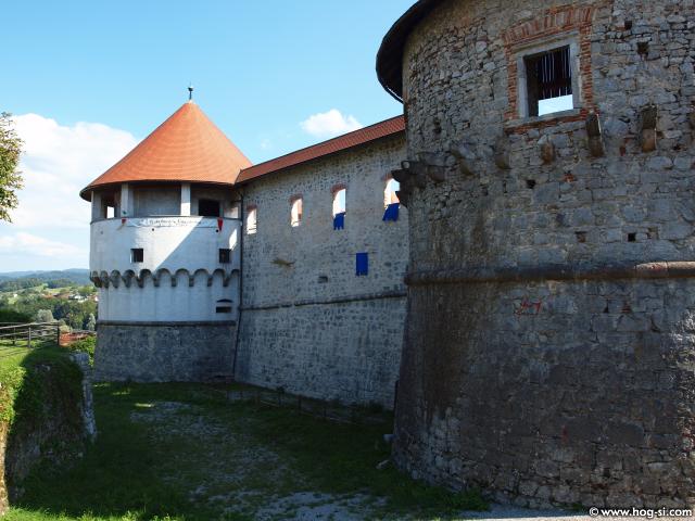 P8099782.jpg