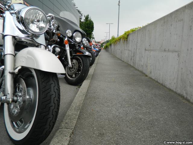 DSCN8574.jpg