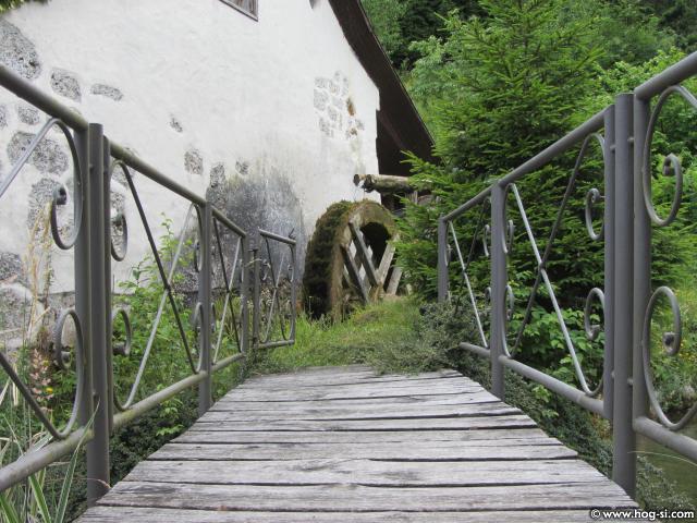 IMG_3814.jpg