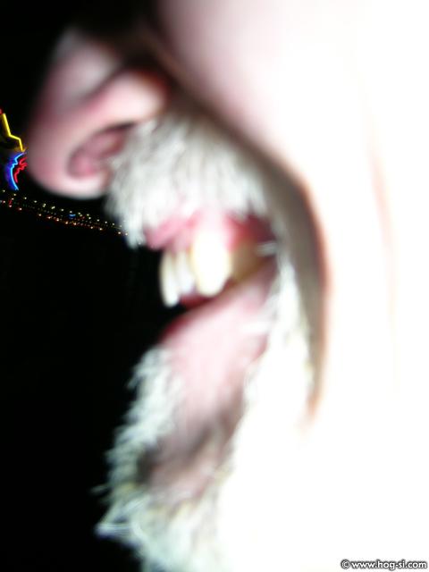 DSCN0212.jpg