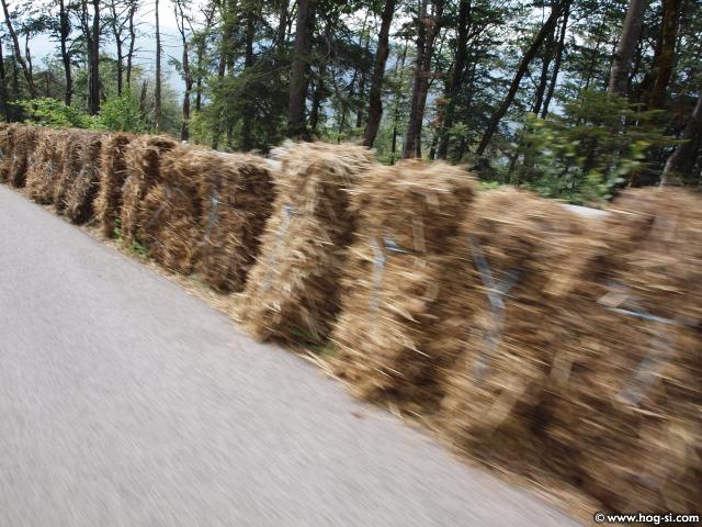 P8099652.jpg