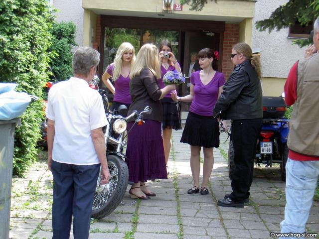 PUŠELC 014.jpg