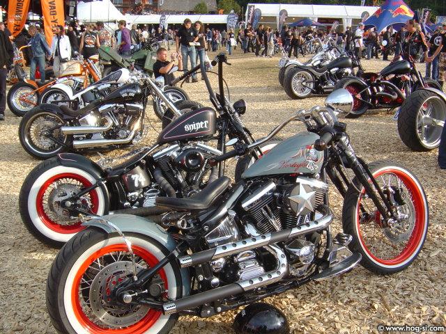 DSC07155.jpg