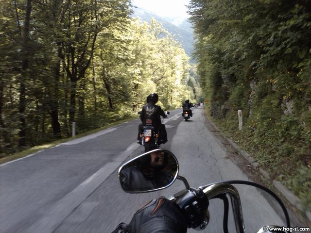 IMG01633-20100605-1104.jpg