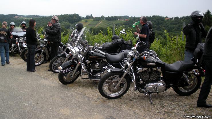 DSCN4547.jpg