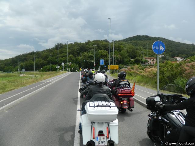 DSCN8503.jpg