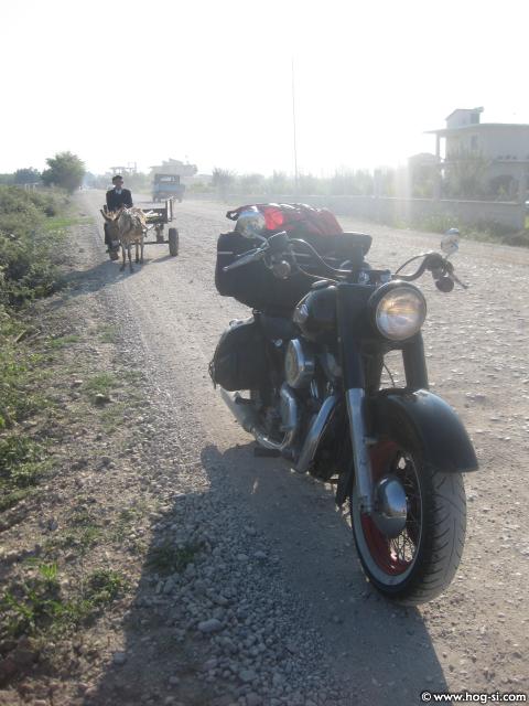 IMG_665.jpg