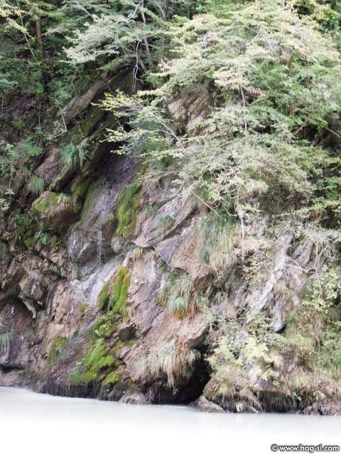 2011-Zaklj 054.jpg