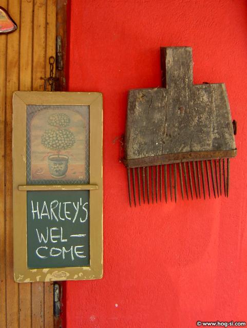 DSC09236.jpg