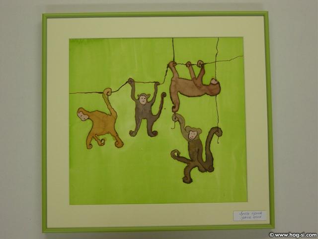 Playful Monkeys