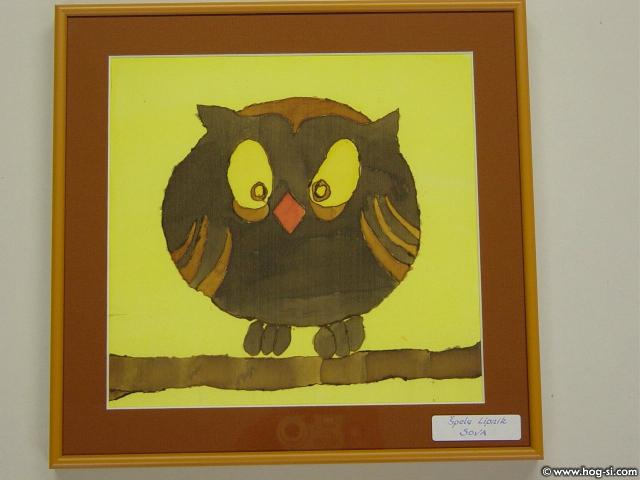 Owl